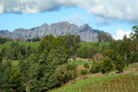 Lake Barrington Vineyard - Accommodation Sunshine Coast 0