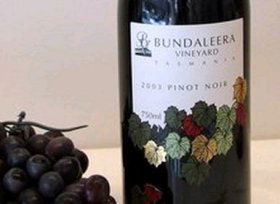 Bundaleera Vineyard - Accommodation Sunshine Coast 0