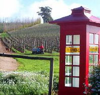 Dalrymple Vineyards - Accommodation Sunshine Coast