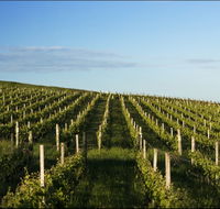 Delamere Vineyard - Accommodation Sunshine Coast