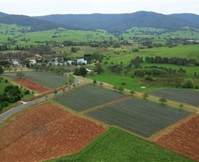 Schmidts Strawberry Winery - Accommodation Sunshine Coast 1
