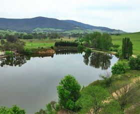 Schmidts Strawberry Winery - Accommodation Sunshine Coast 2