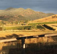 Optimiste Wines - Accommodation Sunshine Coast