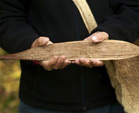 Aboriginal Heritage Walk - Accommodation Sunshine Coast 3