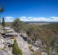 Munghorn Gap Nature Reserve - Accommodation Sunshine Coast