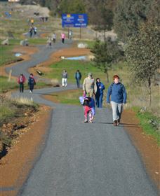 Dog On The Tucker Box Recreational Trail - Accommodation Sunshine Coast 1