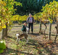 Little River Wines of Taggerty - Accommodation Sunshine Coast