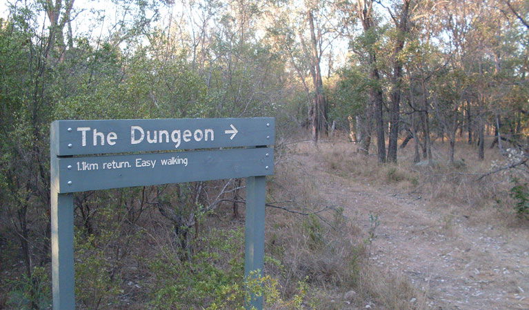 Atholwood NSW Accommodation Sunshine Coast