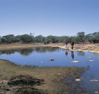 Camel Soak - Accommodation Sunshine Coast