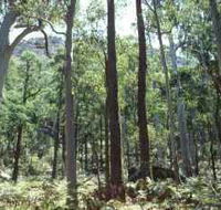 Cathedral Range State Park - Accommodation Sunshine Coast