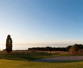 Jack Rabbit Vineyard - Accommodation Sunshine Coast 3