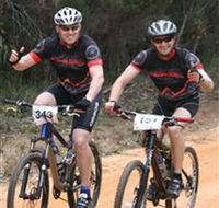 Trailhead Bike Co. - Accommodation Sunshine Coast