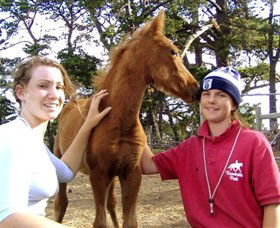 Bellarine Horse Riding Centre - Accommodation Sunshine Coast 1