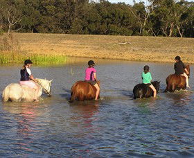 Bellarine Horse Riding Centre - Accommodation Sunshine Coast 2