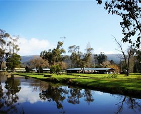 Buxton Trout & Salmon Farm - Accommodation Sunshine Coast 0