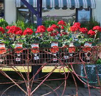 Van Loon's Nursery - Accommodation Sunshine Coast