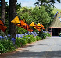Oakdene Vineyards Restaurant and Cellar Door - Accommodation Sunshine Coast