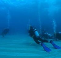 Man and Wife Rocks Dive Site - Accommodation Sunshine Coast