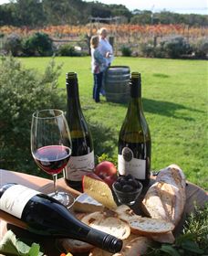 Kiltynane Wines - Accommodation Sunshine Coast 1