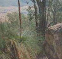 Mount Lawson State Park - Accommodation Sunshine Coast