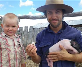Gleneden Organic Farm And The Gleneden Bullock Team - Accommodation Sunshine Coast 2