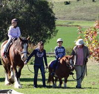 Bathurst Farm Experience - Accommodation Sunshine Coast