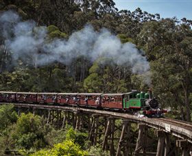 Puffing Billy Steam Railway - Accommodation Sunshine Coast 0