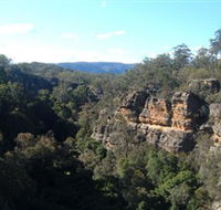 Ferntree Gully Reserve - Accommodation Sunshine Coast