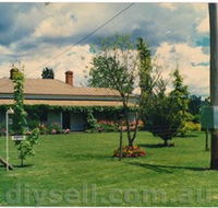 Tumut Valley Violets - Accommodation Sunshine Coast