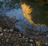 Abercrombie Karst Conservation Reserve - Accommodation Sunshine Coast