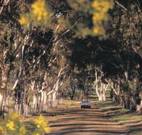 Albert Facey Heritage Trail - Accommodation Sunshine Coast