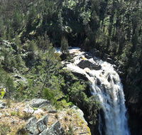 Grove Creek Falls walking track - Accommodation Sunshine Coast