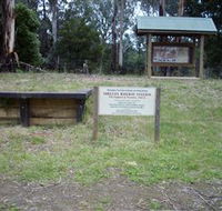 Shelley Forest Camp - Accommodation Sunshine Coast