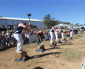 Quirindi Rural Heritage Village - Accommodation Sunshine Coast 1