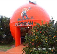 Gayndahs Big Orange - Accommodation Sunshine Coast