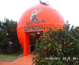 Gayndahs Big Orange - Accommodation Sunshine Coast 0