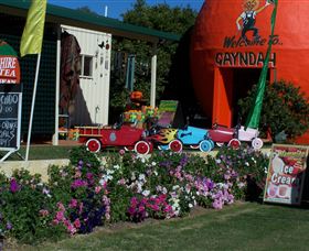 Gayndahs Big Orange - Accommodation Sunshine Coast 1