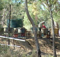 7 Oaks Sapphire Fossicking - Accommodation Sunshine Coast