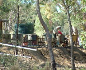 7 Oaks Sapphire Fossicking - Accommodation Sunshine Coast 0