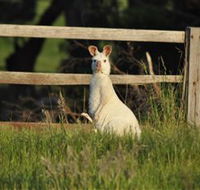 Panorama Garden Estate - Accommodation Sunshine Coast