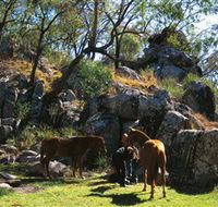 Coomba Falls - Accommodation Sunshine Coast
