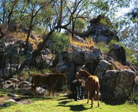 Coomba Falls - Accommodation Sunshine Coast 0