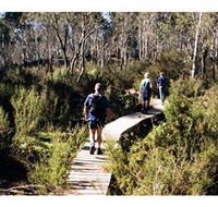 Hume and Hovell Walking Track - Henry Angel Trackhead - Accommodation Sunshine Coast