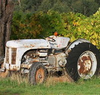 Ten Minutes By Tractor - Accommodation Sunshine Coast