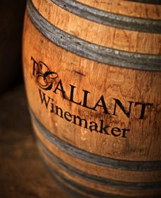 T'Gallant Winemakers - Accommodation Sunshine Coast 0