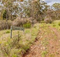 Old Mountain Road Walking Track - Accommodation Sunshine Coast