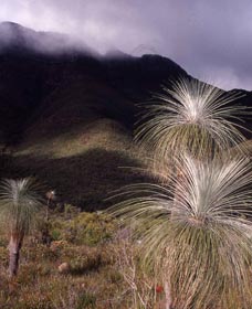 Bluff Knoll, Stirling Range National Park - Accommodation Sunshine Coast 3