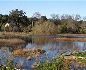Coolart Wetlands And Homestead - Accommodation Sunshine Coast 0