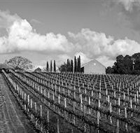 Willow Creek Vineyard - Accommodation Sunshine Coast