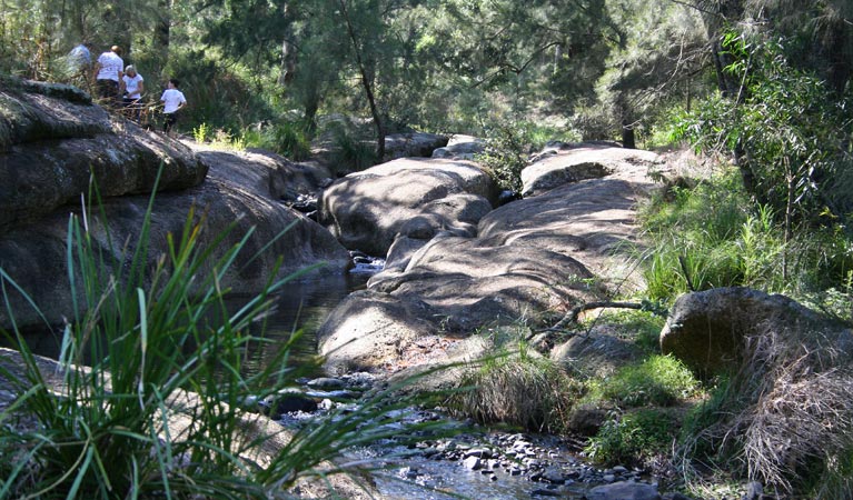 Glenbawn NSW Accommodation Sunshine Coast